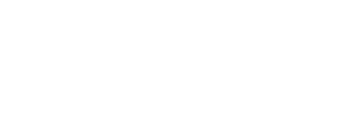 DiP TRANS Logo